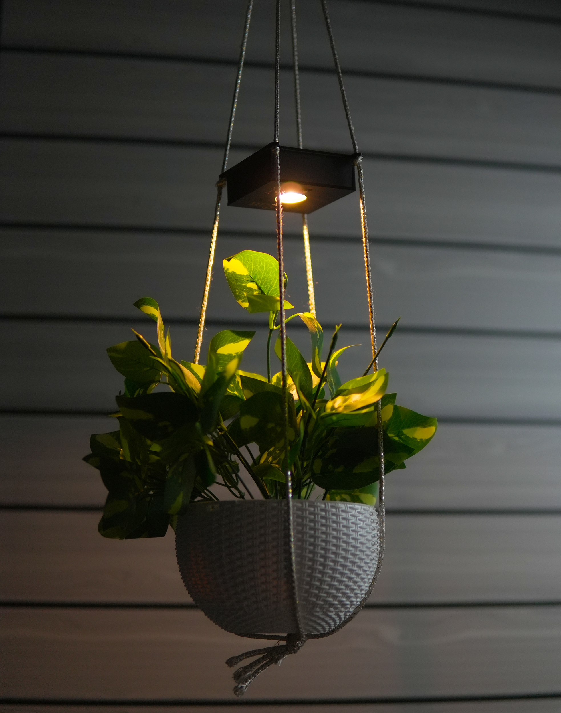 solar plant hanger Ecoglow