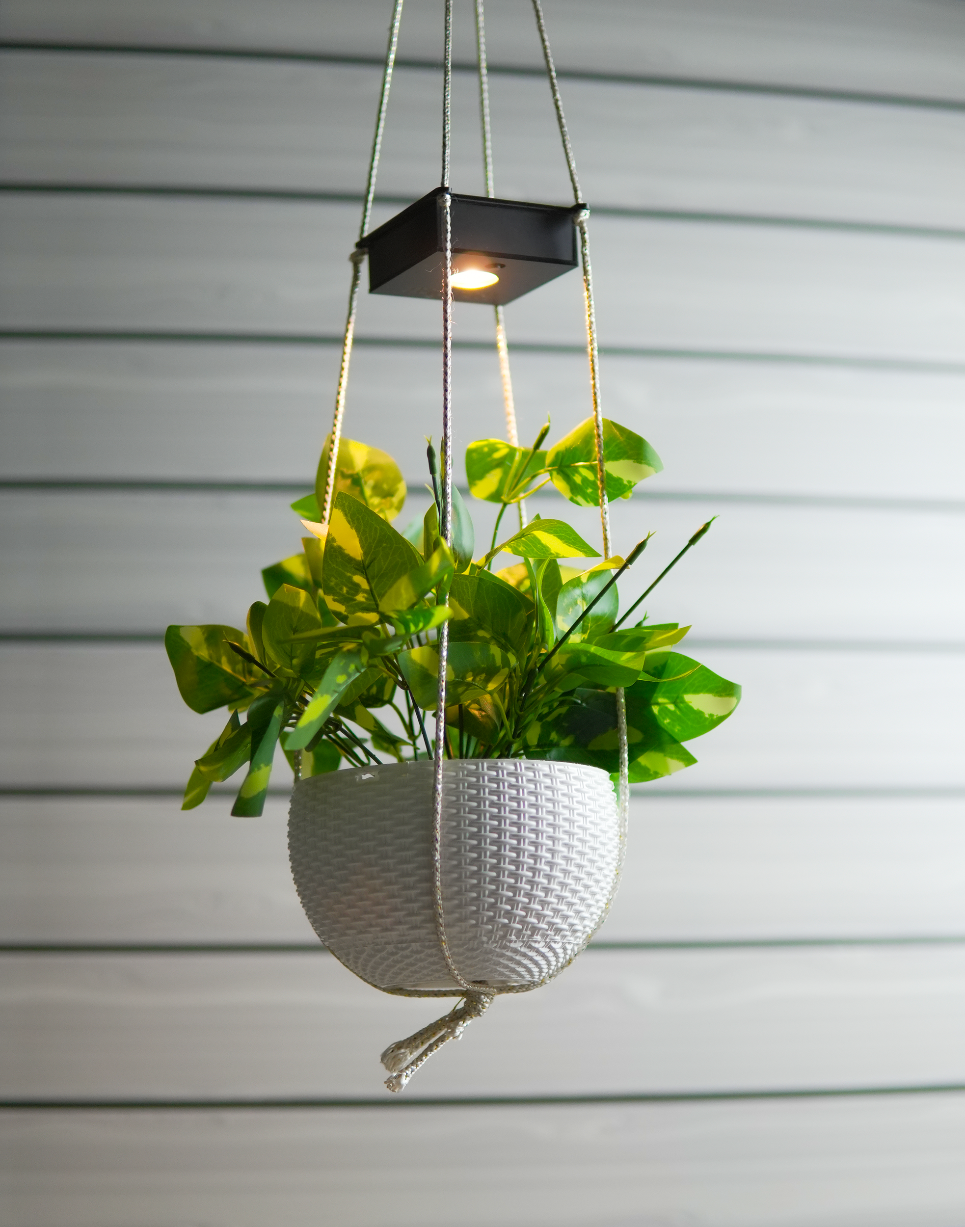solar hanging planter Ecoglow